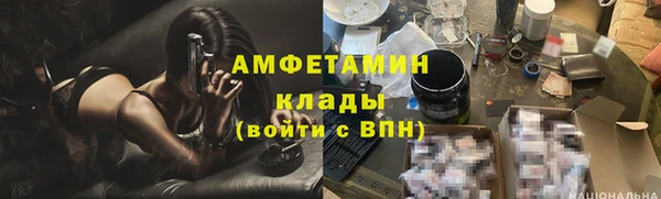 индика Бугульма