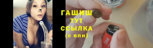индика Бугульма
