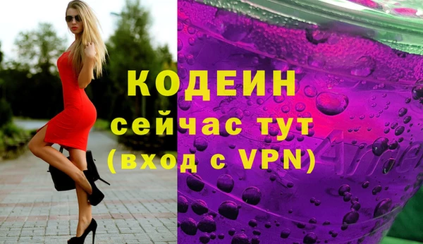 индика Бугульма