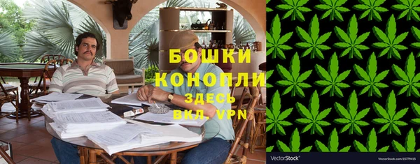 индика Бугульма
