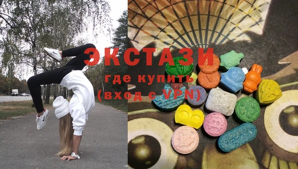 индика Бугульма