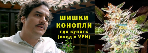 индика Бугульма