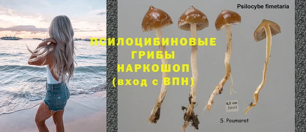 метадон Бородино