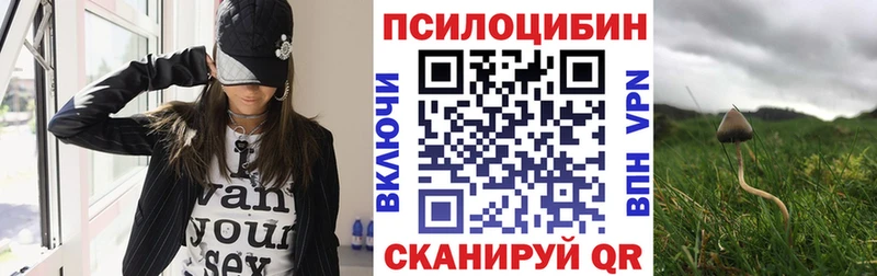 Купить закладки  Североуральск  Псилоцибиновые грибы мухоморы 
