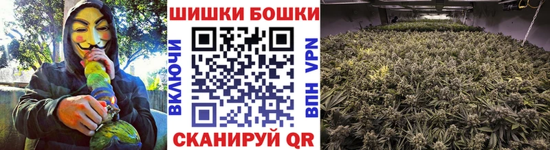 Бошки Шишки план Североуральск